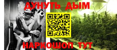 крисы Кандалакша