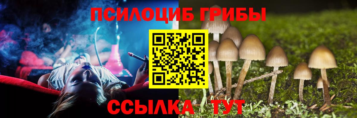 цены наркотик  Псилоцибиновые грибы ЛСД  Псилоцибиновые грибы прущие грибы  Вход с VPN  Магнитогорск 